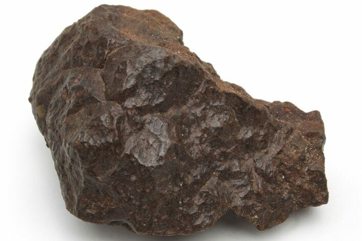 Chondrite Meteorite ( g) - Western Sahara Desert #226973